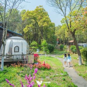 正式开放！“生态 + ”玩出新花样！