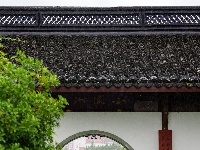 满屏新绿溢出！东西湖这场雨，每一帧都是壁纸级别的治愈