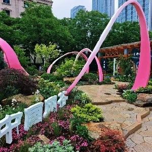 2026武汉都市圈花展启幕，花漾网谷展秀色