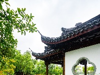 满屏新绿溢出！东西湖这场雨，每一帧都是壁纸级别的治愈