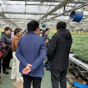 东西湖区妇联组织“巾帼兴农·数商融旅”学员实地探访实训基地，推动理论向实战转化