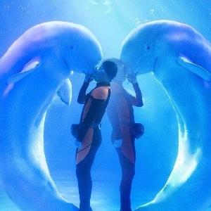 一站式畅玩！武汉国际马戏节五一燃爆来袭