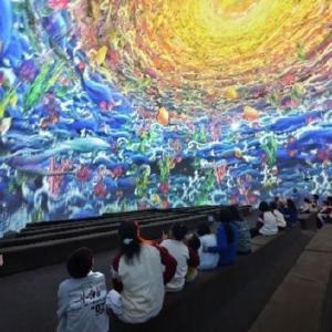 武汉极地海洋度假区助力孤残儿童奔赴“春日海洋之约”