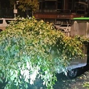常青花园城管与风雨冰雹竞速 跑出应急抢险“加速度”