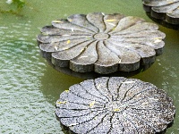 满屏新绿溢出！东西湖这场雨，每一帧都是壁纸级别的治愈