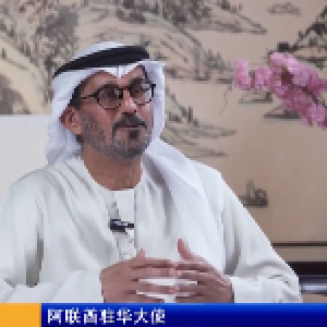长江访谈 | 阿联酋驻华大使侯赛因·哈马迪：愿做湖北联通世界的“桥头堡”