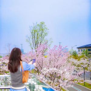 12.6公里，假日就该这么逛！