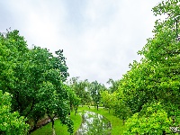 满屏新绿溢出！东西湖这场雨，每一帧都是壁纸级别的治愈