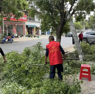 东新社区扎实开展爱国卫生月专项行动