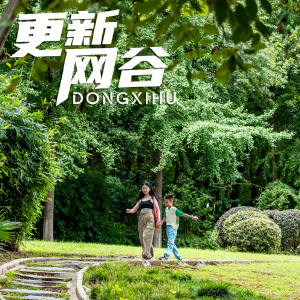 荒山变绿心，东西湖这个片区藏着多少惊喜？