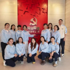 童心颂党 共建聚力——武汉市常青童梦幼儿园党支部与常青花园第三社区党委开展联合支部主题党日活动