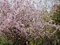 春满常青：花下的银发笑颜