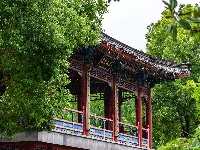 满屏新绿溢出！东西湖这场雨，每一帧都是壁纸级别的治愈