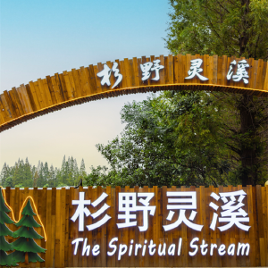 亩收3000到营收24.5万！慈惠这个营地靠微度假“翻身”