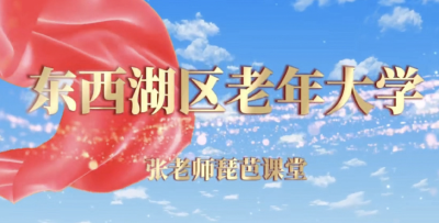 指尖流韵，琴瑟和鸣：一场关于琵琶的温暖对话