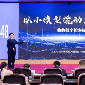 李雪莲：以小模型撬动大作为