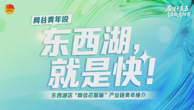 “网谷领航 智创未来”主题青年说丨TCL青年王猛:东西湖，就是快