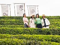 中国旅游日，来东西湖这6个“快乐星球”！