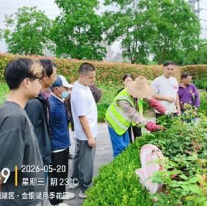 干货满满！东西湖区月季管养专项培训开讲啦