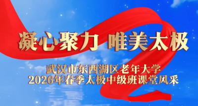 太极中级班课堂风采展示