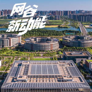 AI闯祸？东西湖“龙盾”来了
