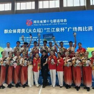 东西湖助力，武汉再添一金！