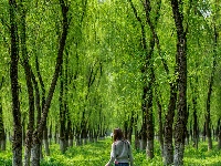 东西湖人藏不住的“看海”平替，在这儿！