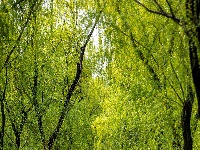 东西湖人藏不住的“看海”平替，在这儿！