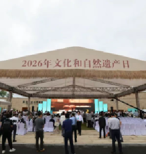 全国文化遗产日主场来了！武汉今年凭什么被选中？