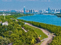 东西湖人藏不住的“看海”平替，在这儿！