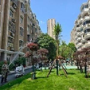 落实“五改四好”，华星晨龙城北苑更新收官，长效共管机制同步“上线”
