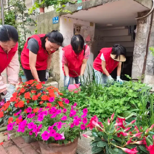 一盆花“种”出文明新风——吴家山街田园西村六旬老爷爷杜治伟用鲜花“占领”小区菜地