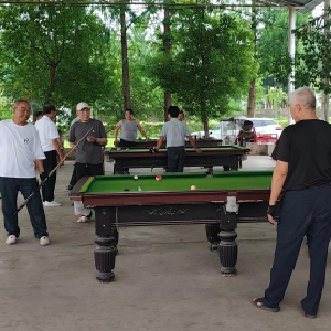 以球会友 葡萄搭桥！辛安渡红星社区老年台球赛温情开赛