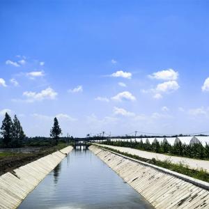 东西湖区全力守护农业“安全堤”