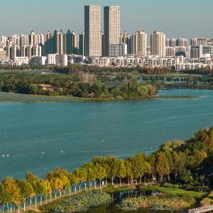 东西湖区金银湖街道在全市街道（乡镇）党（工）委书记工作交流会上作交流发言