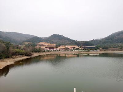 不负好春光 嵩阳林场“互联网+”全民义务植树实现“开门红”
