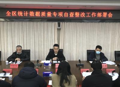 蔡甸区部署统计数据质量专项自查整改