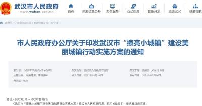 武汉发布重磅方案 涉及蔡甸等6个区！