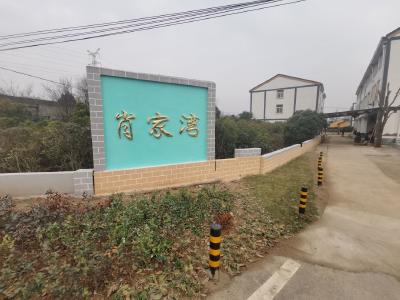 【人居环境】武汉蔡甸:肖家湾的质朴与乡愁 扮靓高速沿线风景线
