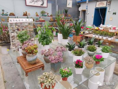 不打烊！春节，来这儿逛花卉市场吧~