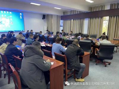 加速集中供能 中法生态城这个会议力促智慧环保建设