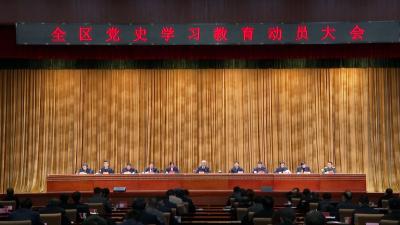 陈新垓：学习党史传承精神砥砺品质激发活力淬炼胆识 努力在全市“五个中心”建设中体现蔡甸担当 展现蔡甸贡献 提升蔡甸份额