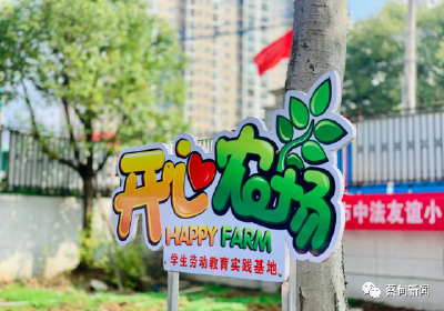 现实版“开心农场”！蔡甸这所学校将菜地变课堂