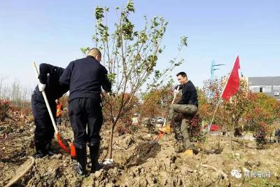 蔡甸城管义务植树 为工业园区再添一抹新绿