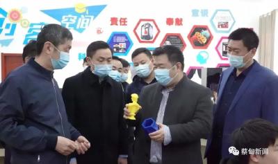 蔡甸区政协调研全区职业教育发展情况