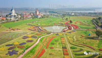 春暖花开赏花季，蔡甸这个打卡地你会再来吗？