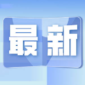 最新！蔡甸“4·6”脚手架倒塌事故调查情况