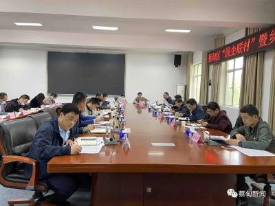 蔡甸区调度“国企联村”暨乡村振兴项目工作