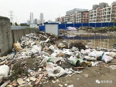 暴露垃圾问题“回头看” 蔡甸这些点位整改效果不理想