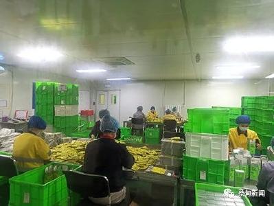 食品监管和公共检测监测信息公开工作情况如何？蔡甸区人大主任会议专题听取